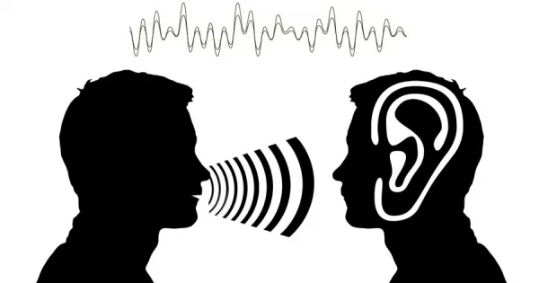 Sesleri Anlama Skoru Nedir ?